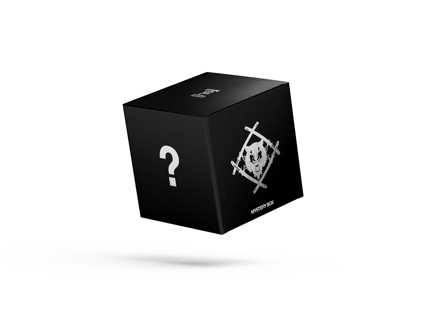 [HS] MYSTERY BOX